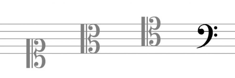 Bassi
